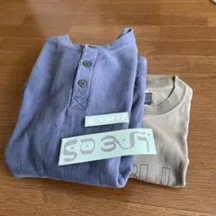 Item thumbnail for item 1228129f-33b0-4484-8e8b-a79af12b21c8