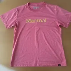 本日限定価格！marmot マーモット　ロゴ入りTシャツ