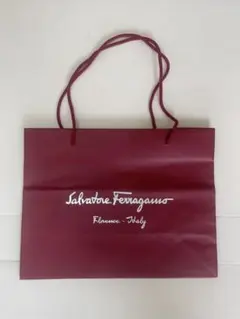 Salvatore Ferragamo ショップ袋 ショッパーのサムネイル