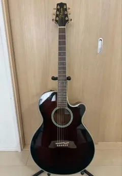 2026年最新】takamine pt-108の人気アイテム - メルカリ
