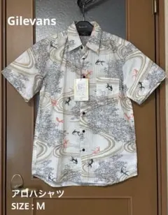 Item thumbnail for item 68c2d755-50fb-457c-a254-bfd12e10e55b