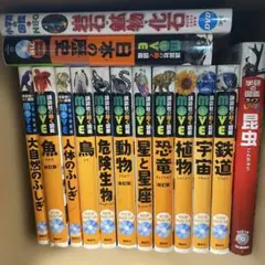 Mevius Triangle オリジナル教材 DVD - メルカリ