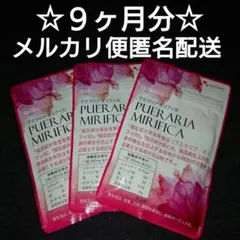 Item thumbnail for item 15b135e4-b73d-472d-b2d6-a1e11c7f5b00