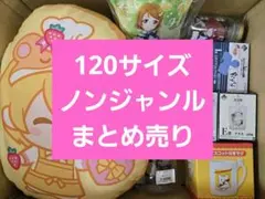 アニメグッズなど 120サイズ ノンジャンル 大量 まとめ売り 約260点