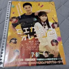 モエカレはオレンジ色 フライヤー 4枚セット