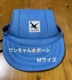 Item thumbnail for item 148429d9-169a-4691-b234-bd93900f5d33