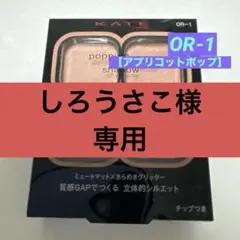 【新品・未開封】KATE ポッピングシルエットシャドウ OR-1