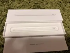 Apple Pencil (USB-C) 本体 箱付き - メルカリ