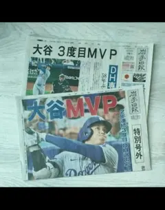 大谷翔平 岩手日報号外 11/22岩手日報 朝刊 11/23セットのサムネイル