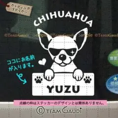 チワワ No.16 名前入 カッティング　ステッカー スムース シール　犬