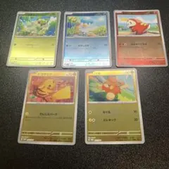 ポケモンカード　夏がきた　プロモカード　5枚セット