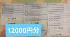 ビックカメラ　コジマ　株主優待 お買物優待券　12000円分