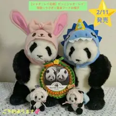 2026年最新】#だっここシャオシャオコスチュームの人気アイテム - メルカリ