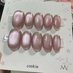 【セツ】マグネット　ネイルチップ　付け爪(A1563)