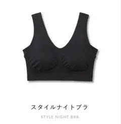 BAMBI WATER STYLE NIGHT BRA 3L 2枚セット