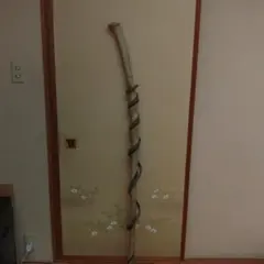 Item thumbnail for item 6632c20d-1802-4da6-b6ad-da6079002f09