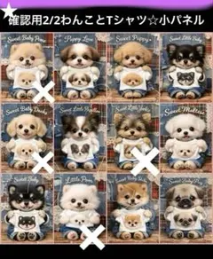 確認用2/2わんことTシャツ☆小パネル　ハンドメイド