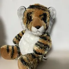 2026年最新】シンガポールナイトの人気アイテム - メルカリ