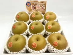 クール便　無袋栽培新甘泉 12玉入り 1玉270～300g前後 果実約3.4kg クール便 無袋栽培新甘泉 12玉入り 1玉270～300g前後 果実約3.4kg