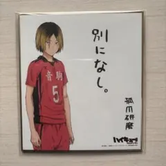 ハイキュー 孤爪研磨 ビジュアル色紙コレクション
