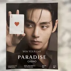 パラダイスシティパンフレット BTS テテ V キムテヒョン