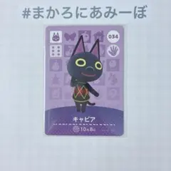 ◎《まとめ割》新品amiiboカード　第1弾 034 キャビア