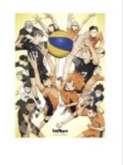 ハイキュー!! TO THE TOP ジグソーパズル1000ピース