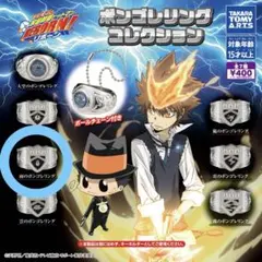 家庭教師ヒットマンREBORN! ボンゴレリング コレクション 雨