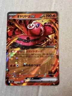 オドリドリEX 018/080 １枚　ポケモンカード