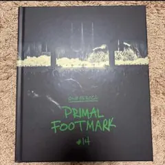 ONE OK ROCK PRIMAL FOOTMARK #14 2025