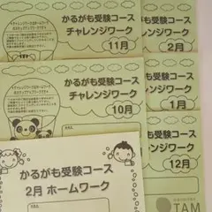 TAM小学校受験☆お受験コース年長8ヶ月分プリント　ペーパー対策に☆ 小学校受験問題】ペーパー対策(基礎) 無料プリント100枚