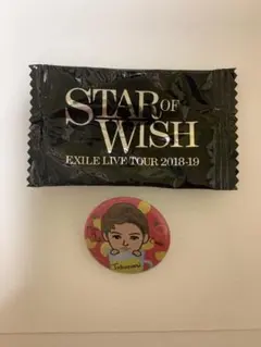 岩田剛典SOW 缶バッジ EXILE 2018-2019 岩ちゃん 缶バッチ