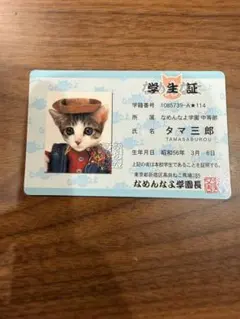 なめ猫 学り生証 タマ三郎