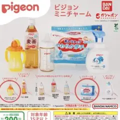 비둘기 미니 매력