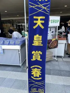 2025年最新】天皇賞 タオルの人気アイテム - メルカリ