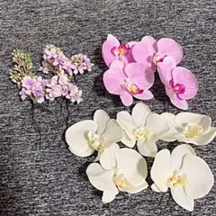 Item thumbnail for item a074f1fc-896e-4bfa-aaab-a06482e2098f