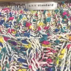 超美品♡ a.v.v. standard マルチカラー　ミックスカラー半袖ニット