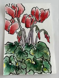 シクラメン 水彩画 ポストカード