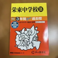 Item thumbnail for item 00e45bfa-a992-47d0-8b20-ff2945b3bd40