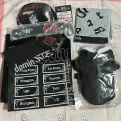 StrayKids スキズ dominATE アプグレ グッズ