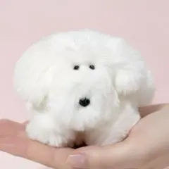 作家 ぬいぐるみ