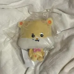 超特急 カイ 生誕 ぬいぐるみ カカ - メルカリ