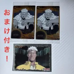 鋼の錬金術師　ハガレン　スカー　ウエハース　カード　セット　おまけ付き！