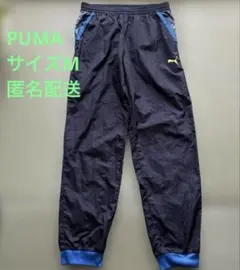 Item thumbnail for item 7a8b65d7-d42b-4a90-97a1-ada6a3b96ada