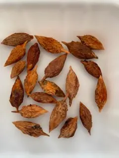 Kmt様 リクエスト 2点 まとめ商品