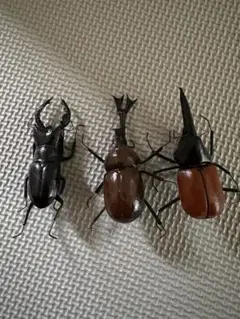 カブトムシフィギュアマグネット