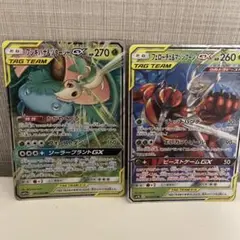 フェローチェ&マッシブーンGX フシギバナ&ツタージャGX