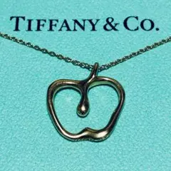 Tiffany エルサペレッティ　K18 ティファニー『Y』アルファベットネックレス 750 K18エルサペレッティ