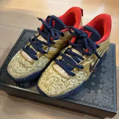 NIKE KD 15 EPケビン•デュラント 24.5cm バッシュ