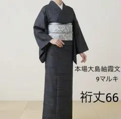 正絹上質紬 単衣 麻の葉間道 ⑩( 訪問着、黒留袖、袋帯なども出品